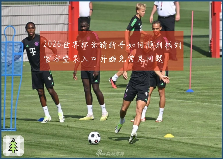 2026世界杯竞猜新手如何顺利找到官方登录入口并避免常见问题